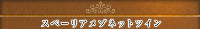 Xy[A]lbgcC